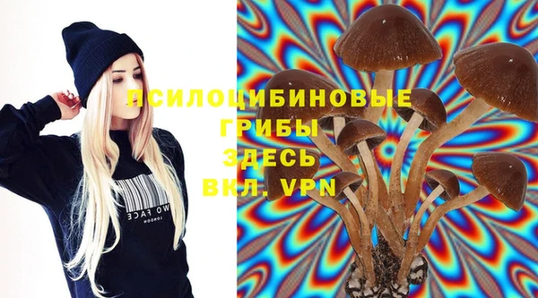 mdma Краснослободск