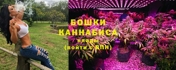 сатива Краснотурьинск