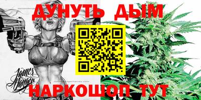 a pvp Можга