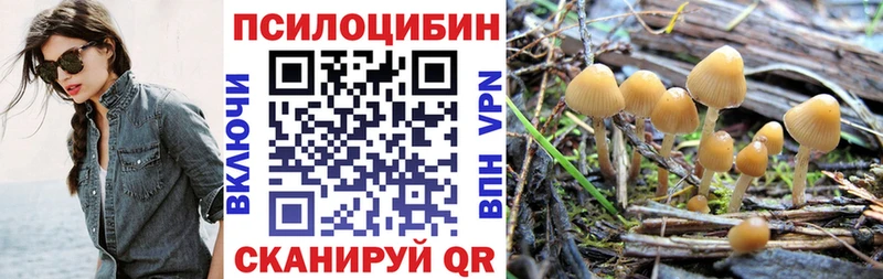 Псилоцибиновые грибы MAGIC MUSHROOMS  нарко площадка какой сайт  Чернушка 