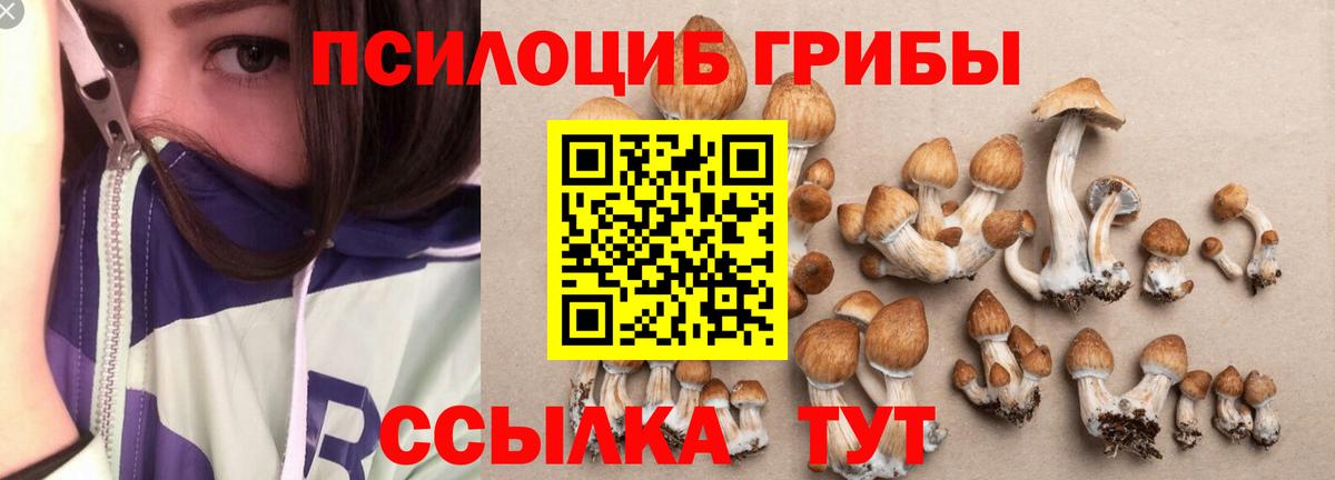 Псилоцибиновые грибы ЛСД  Вход с VPN  Чернушка 