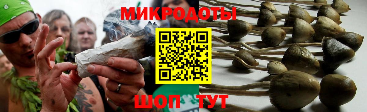 Псилоцибиновые грибы ЛСД Чернушка