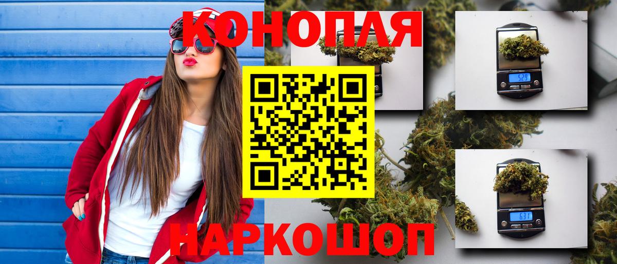 Конопля Ganja Чернушка